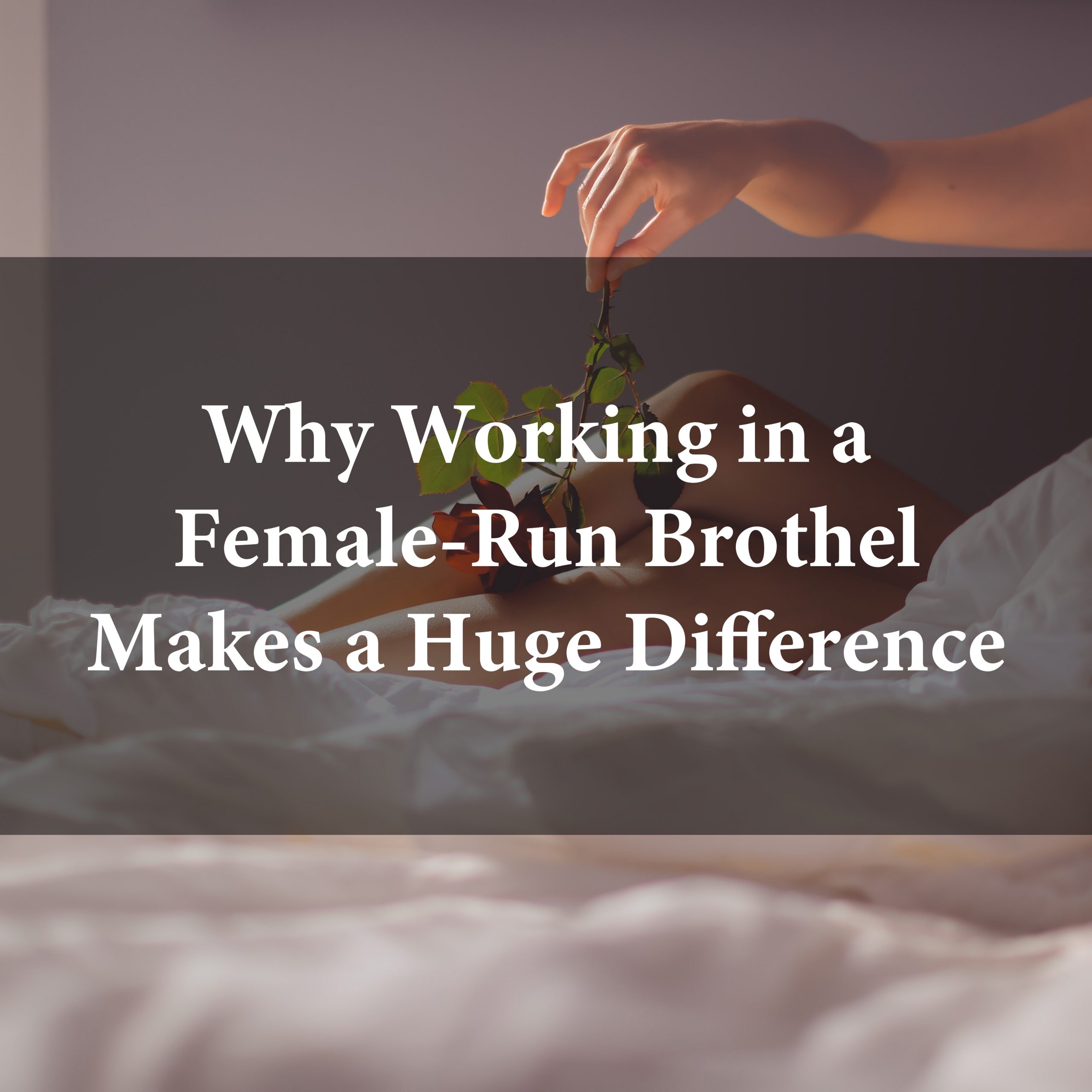 Female-run brothel Female-run brothel